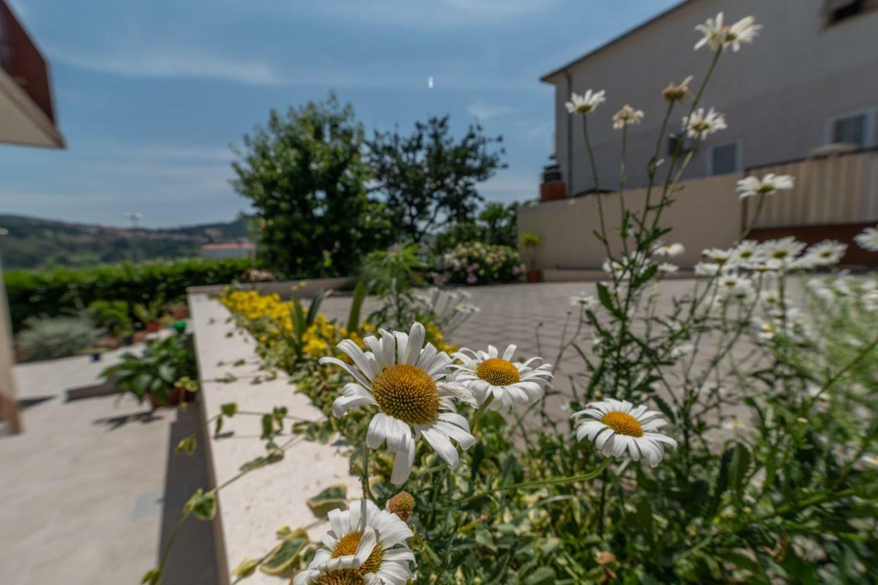 Apartments Flora Trogir Ngoại thất bức ảnh